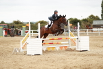 Class 2 - Senior British Novice - 90cm Open portfolio