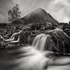 Moody Buachaille