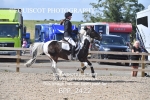 BPP_2422