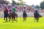 240726-Race 5-Zooella-01645