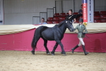 SBM_04966