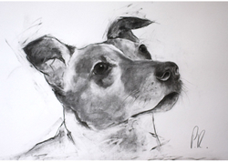 portrait commissions portfolio