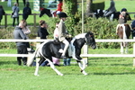SBM_51967