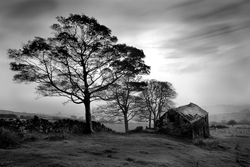 Roach End Farm
