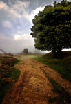 Stanton Moor Cork Stone