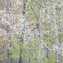SPRING EDGE - NORFOLK COUNTY