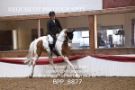 BPP_8877