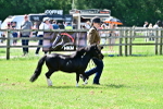 SBM_03666