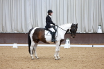 SBM_003540