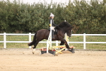 SBM_000425