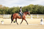 SBM_009146