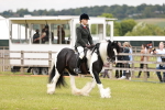 SBM_06170