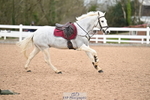 Cls 9 Pony Foxhunter and 1.10m Open portfolio