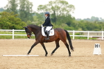 SBM_006026