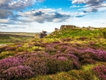Widdup Moor