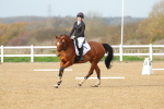 SBM_003393