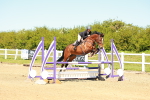SBM_000700