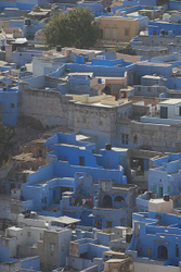 Jodphur (Blue City)