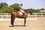 SBM_004887