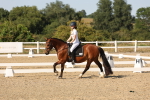SBM_006969