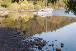 Autumn Reflections