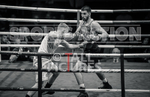 Bout 11_Jack Le Tissier v Daniel Gholizadeh portfolio