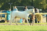 SBM_57367