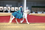 SBM_13972