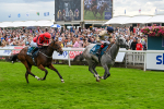 270724-Race 4-Greydreambeliever-7264
