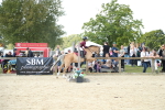 SBM_39480