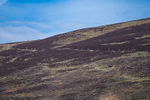 Black Combe-472