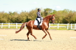 SBM_000162