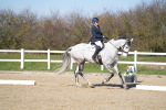 SBM_003295