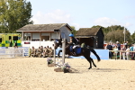 SBM_61946