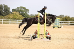 SBM_002161