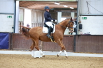 SBM_002650