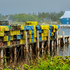 White Head Island Lobster Traps