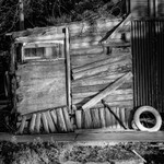 Old Shed