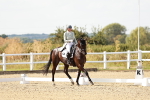 SBM_004631