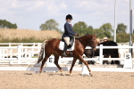 SBM_03569