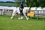SBM_09469