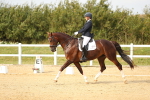 SBM_018447