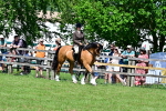 SBM_07999