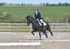 BPP_5899