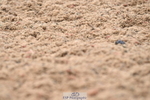 240621A-180629-06487