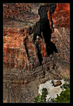 Mountain Goat