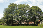 AUGUST 2014  -8