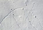 Winter - 18