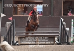 BPP_7441