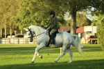 SBM_55547
